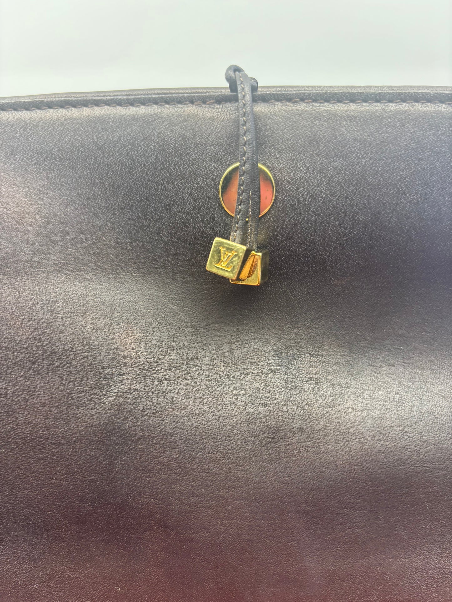 Louis Vuitton Limited Edition Damier Pony Hair Top Handle Bag