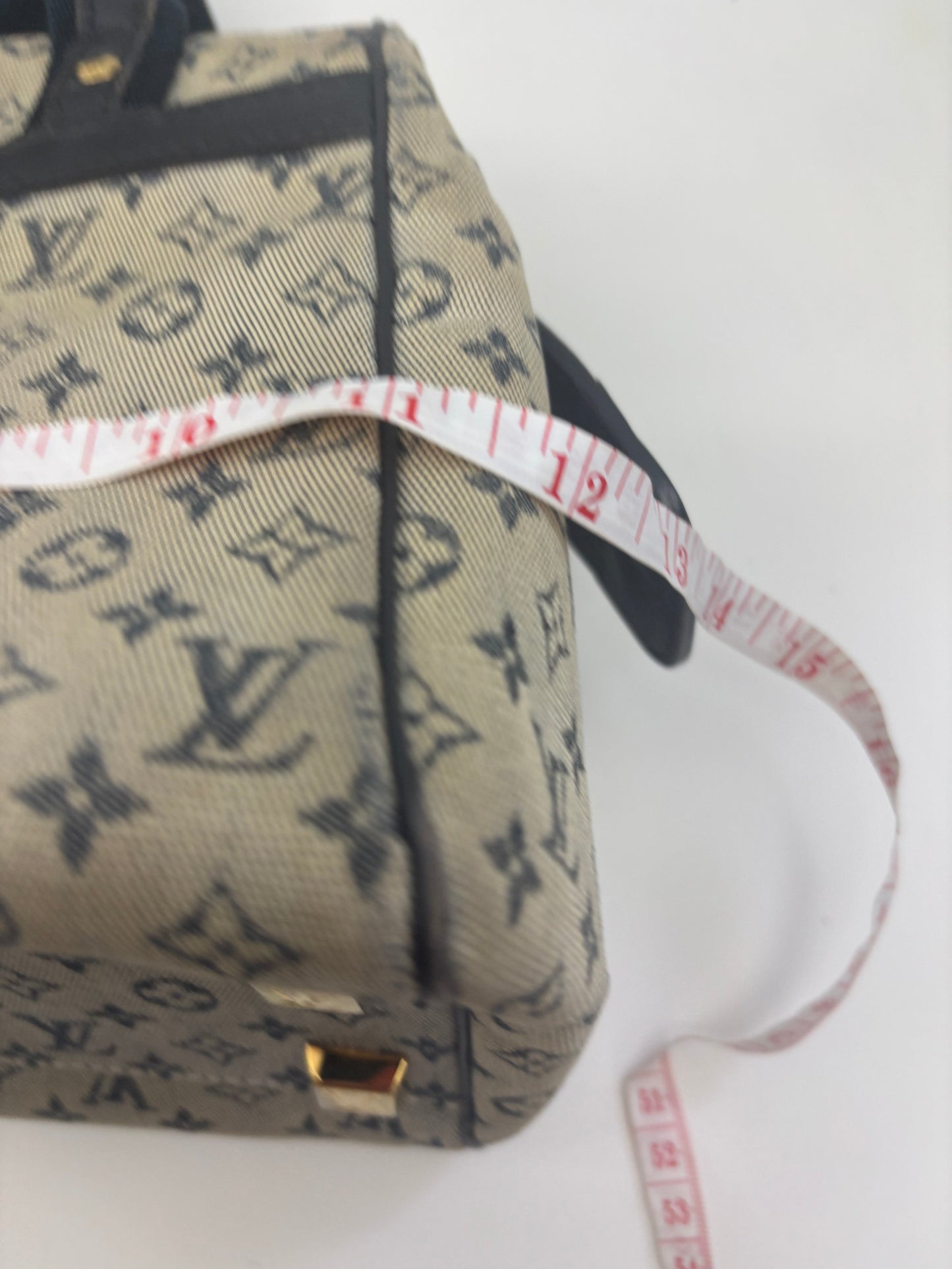 Louis Vuitton Mini Lin Manon PM in Blue Monogram Canvas