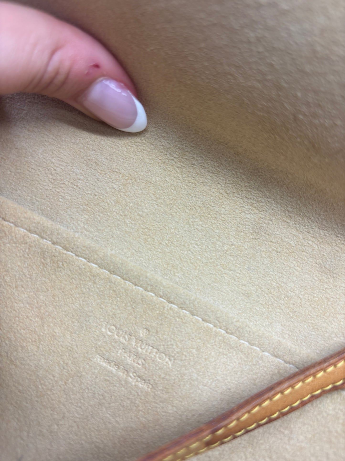 Louis Vuitton Monogram Pochette Florentine Crossbody